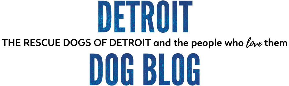 Detroit Dog Blog
